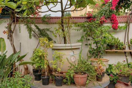Eden Garden Villa By Jadecaps Nr Mg Road Garden Bangalore Luaran gambar