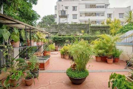 Eden Garden Villa By Jadecaps Nr Mg Road Garden Bangalore Luaran gambar